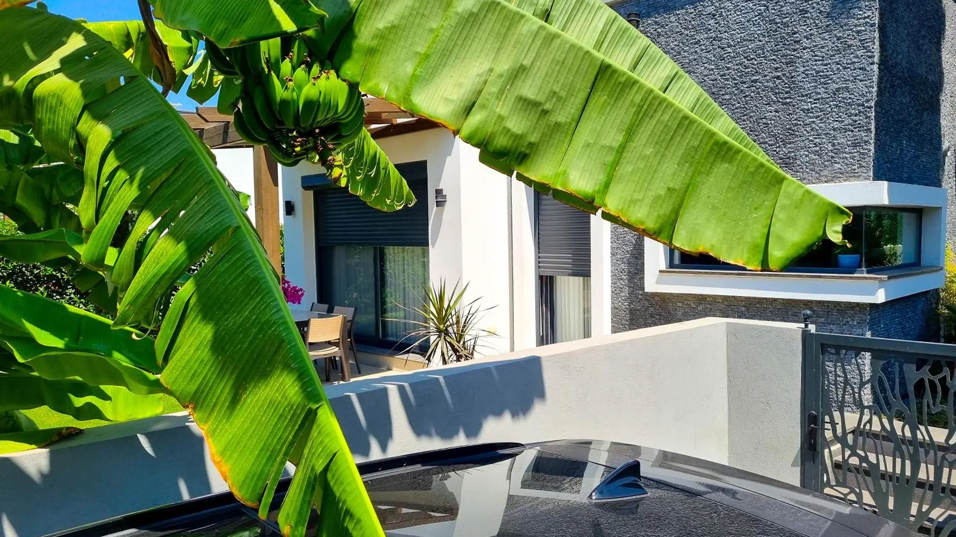 Suelo Flat Villa Turgutreis 0*,  Turkey